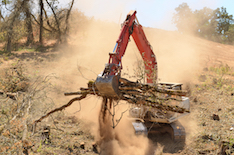 Clearing Services Pircture